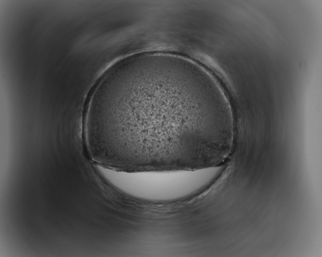 X0000093171220200710101206