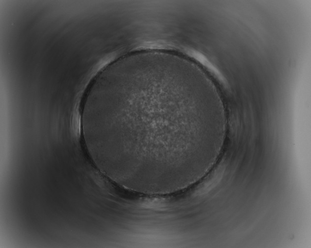 X0000093171221200710101206