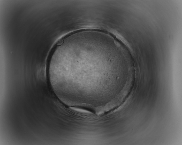 X0000093171222200710101206