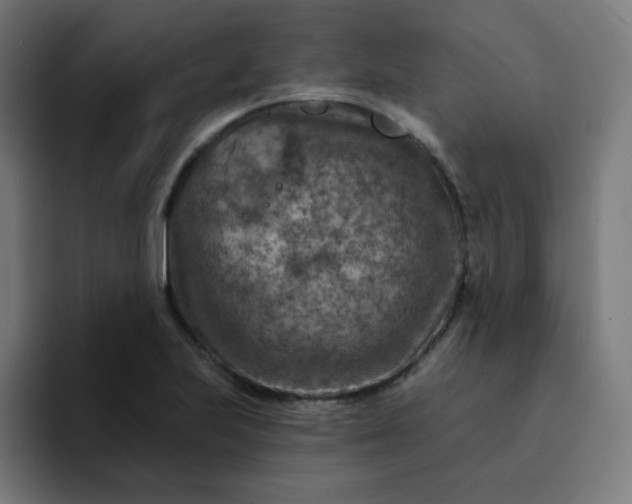 X0000093171223200710101206