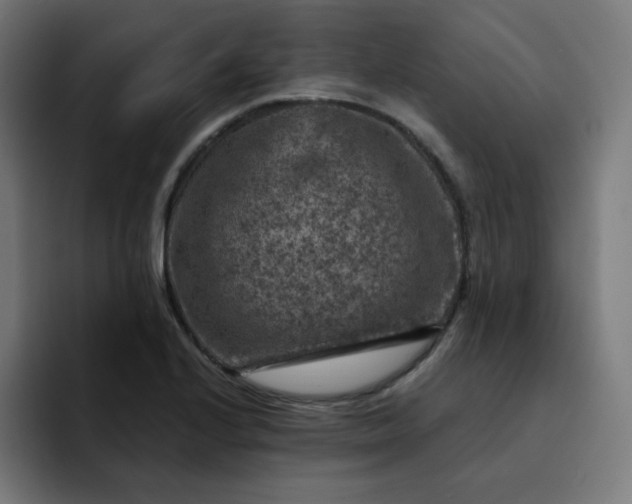 X0000093171224200710101206