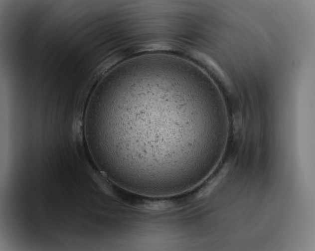 X0000093171225200710101206