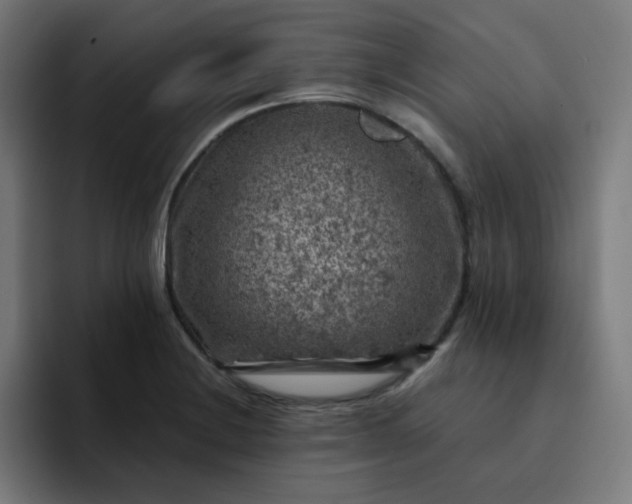 X0000093171228200710101206