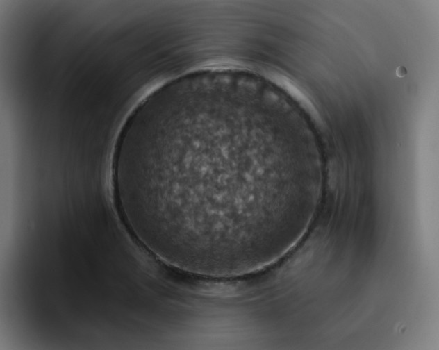 X0000093171229200710101206
