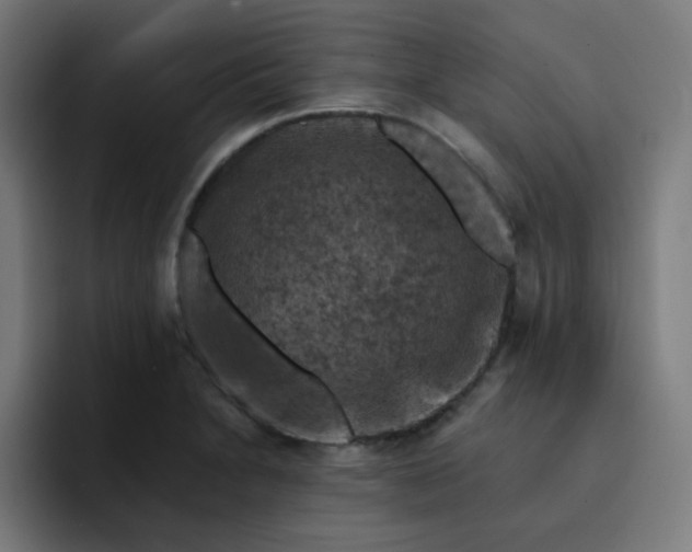 X0000093171230200710101206