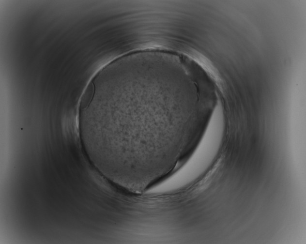 X0000093171234200710101206