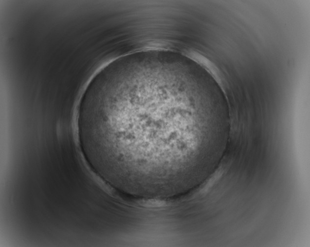 X0000093171235200710101206