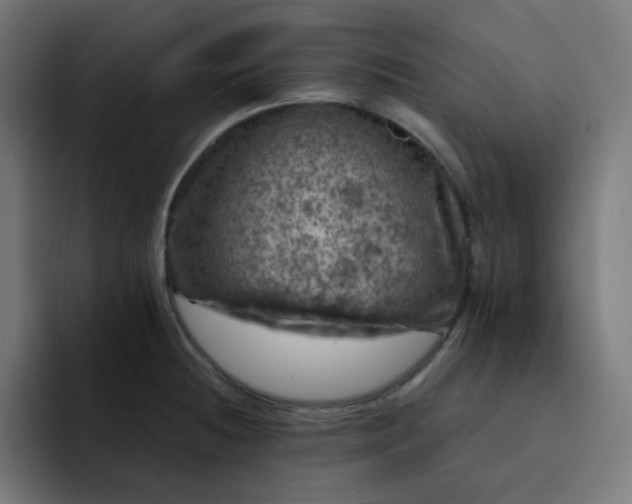 X0000093171236200710101206