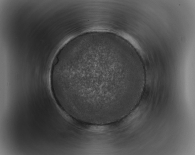 X0000093171237200710101206