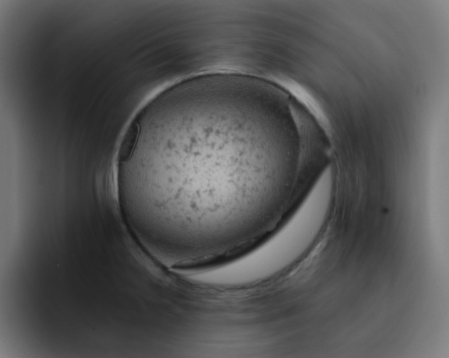 X0000093171238200710101206