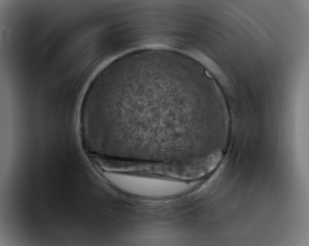 X0000093171240200710101206