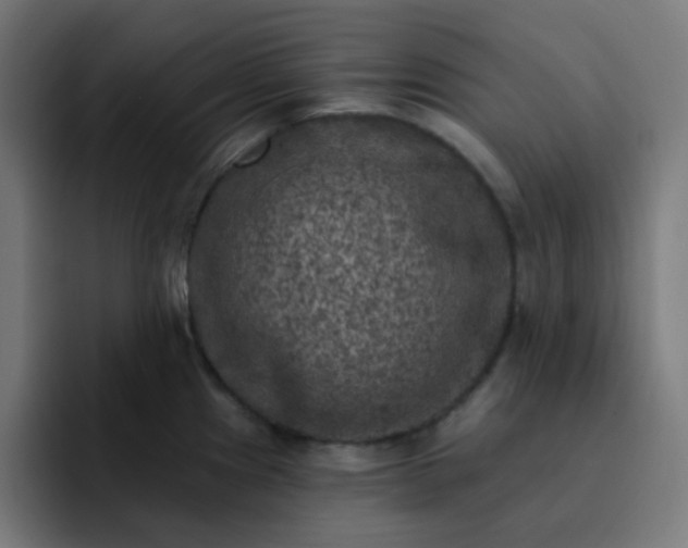 X0000093171241200710101206