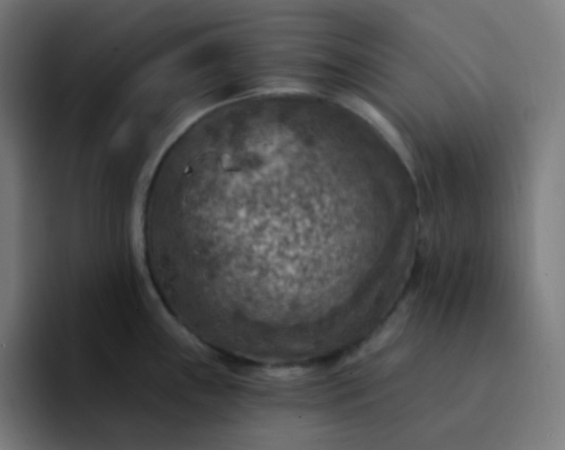 X0000093171243200710101206