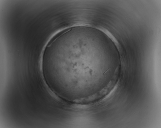 X0000093171246200710101206