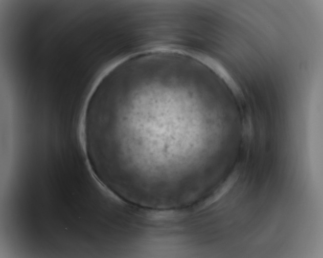 X0000093171247200710101206