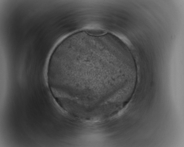 X0000093171248200710101206