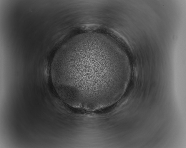 X0000093171250200710101206