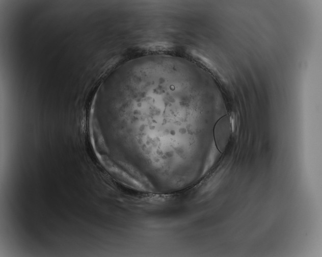 X0000093171251200710101206