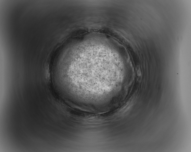 X0000093171252200710101206