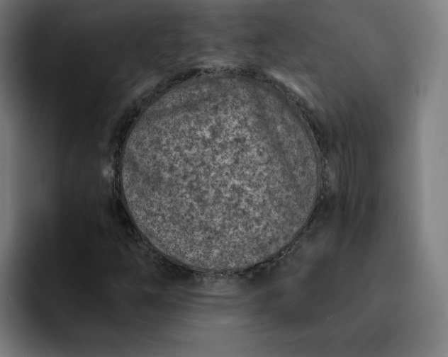X0000093171254200710101206