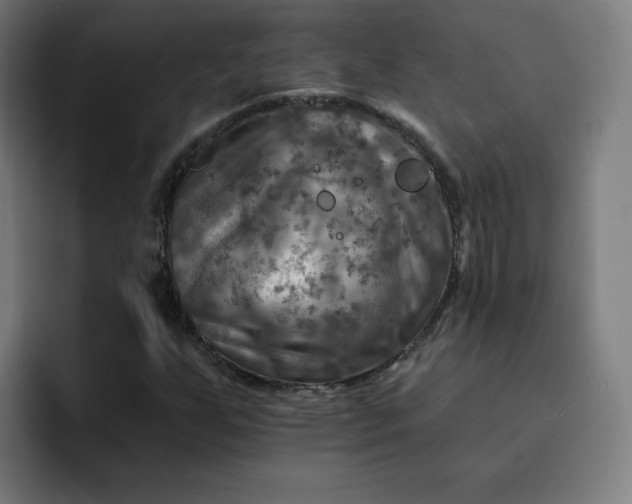 X0000093171255200710101206