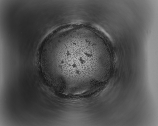 X0000093171256200710101206