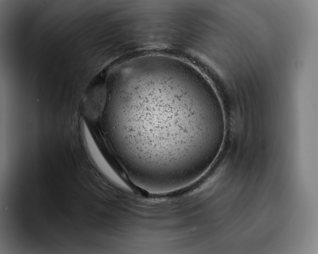 X0000093171257200710101206