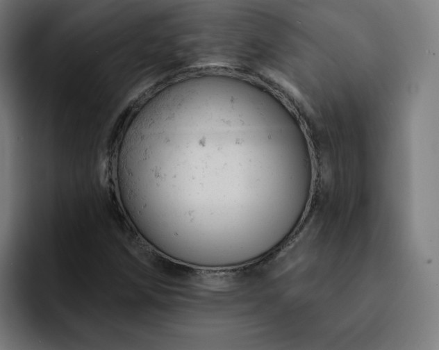 X0000093171258200710101206