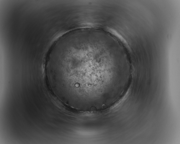 X0000093171259200710101206