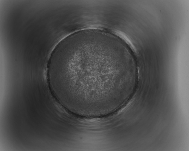 X0000093171260200710101206