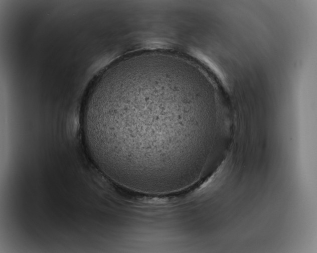 X0000093171261200710101206