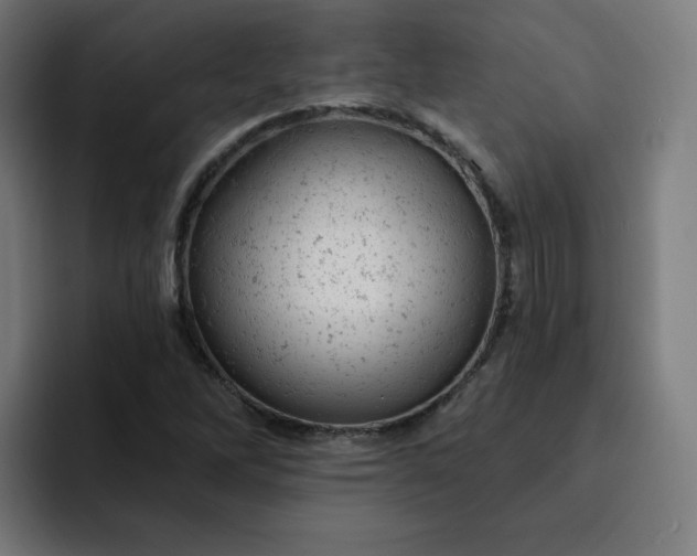 X0000093171262200710101206
