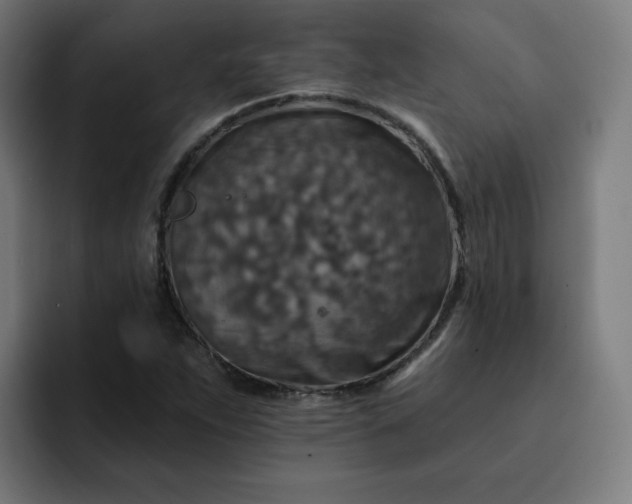 X0000093171263200710101206