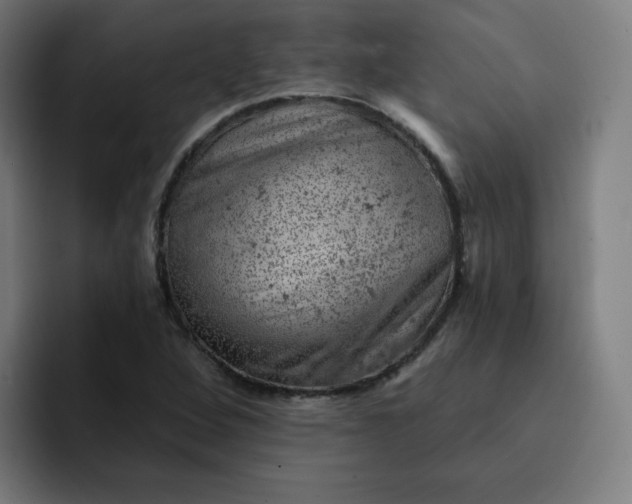 X0000093171264200710101206
