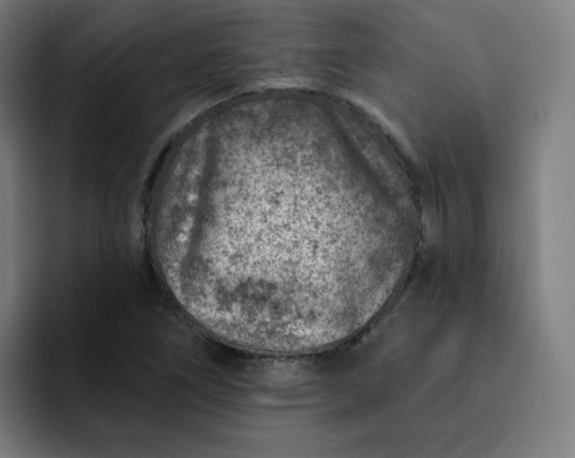 X0000093171266200710101206
