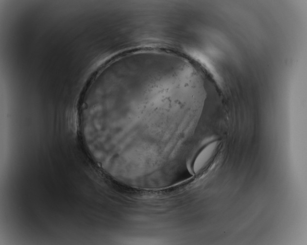 X0000093171267200710101206