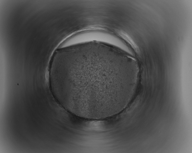 X0000093171268200710101206