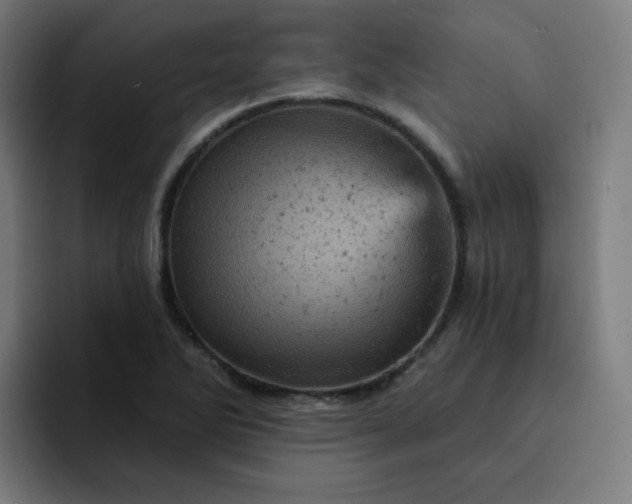 X0000093171270200710101206