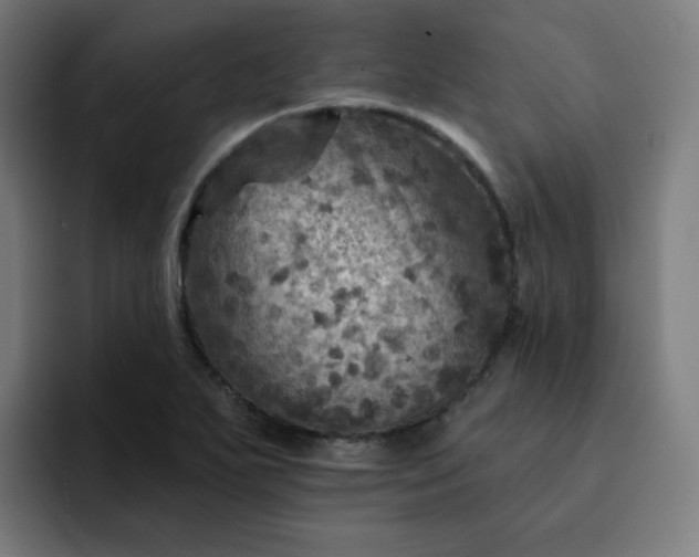 X0000093171271200710101206