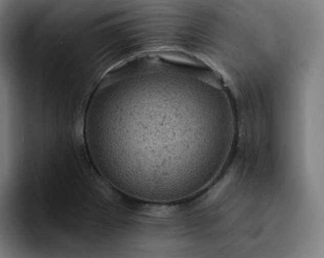 X0000093171273200710101206