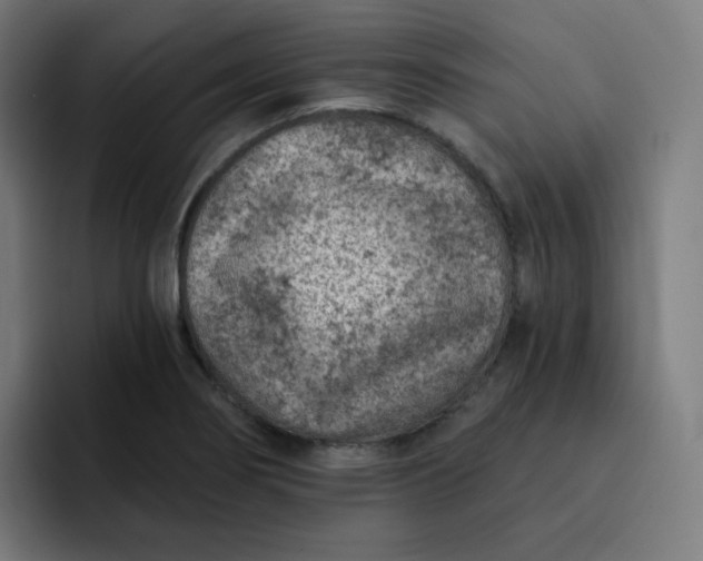 X0000093171274200710101206