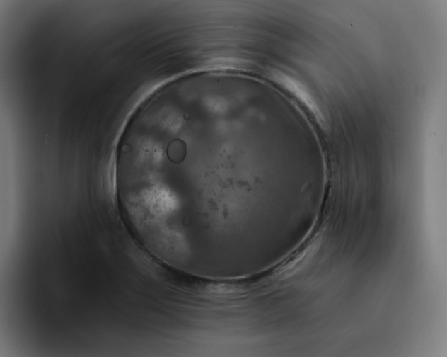 X0000093171275200710101206