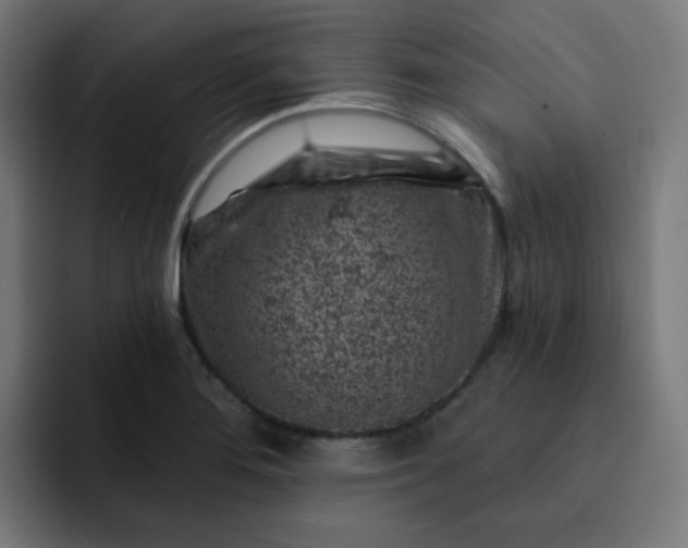 X0000093171276200710101206