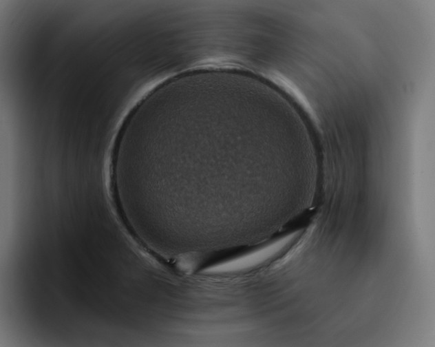 X0000093171277200710101206