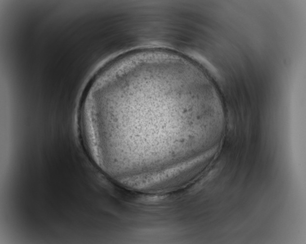X0000093171278200710101206