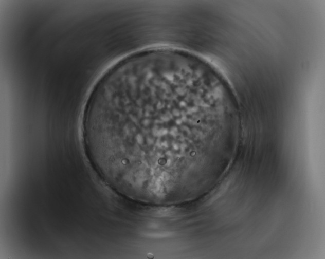 X0000093171279200710101206