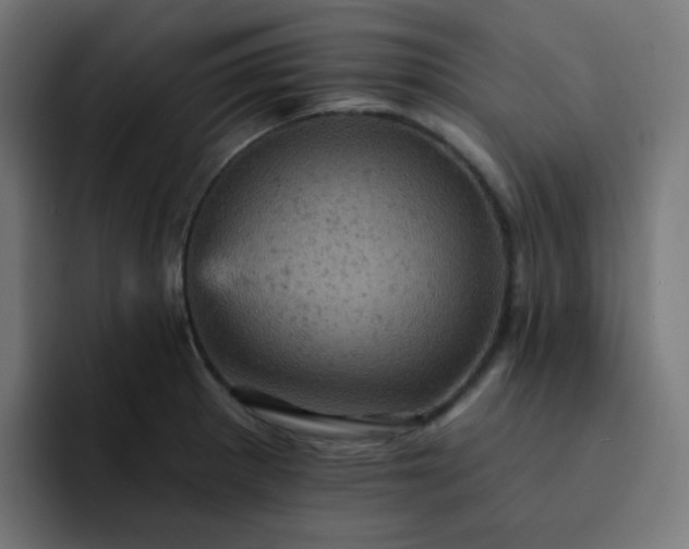 X0000093171281200710101205