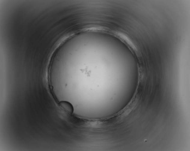 X0000093171282200710101205