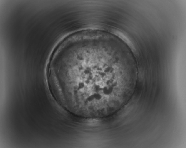 X0000093171283200710101205