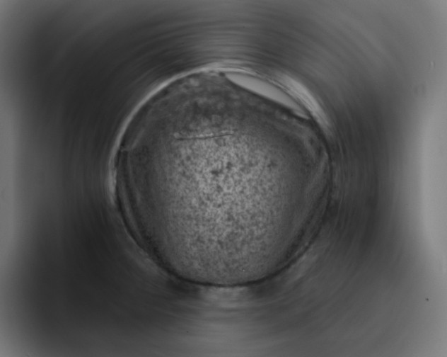 X0000093171284200710101205